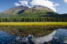ALASKA-alifeofway-16