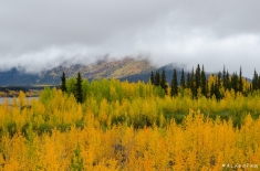 ALASKA-alifeofway-39
