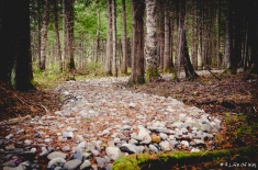 PROVINCEMARITIMEQUEBEC-alifeofway-2