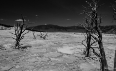 yellowstonegrandteton-alifeofway-1