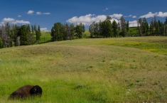 yellowstonegrandteton-alifeofway-4