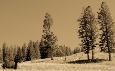 yellowstonegrandteton-alifeofway-5