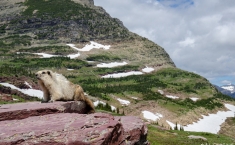 yellowstonegrandteton-alifeofway-50