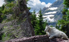 yellowstonegrandteton-alifeofway-52
