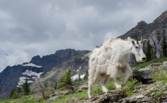 yellowstonegrandteton-alifeofway-54