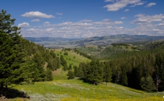 yellowstonegrandteton-alifeofway-6