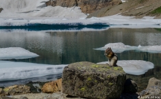 yellowstonegrandteton-alifeofway-61