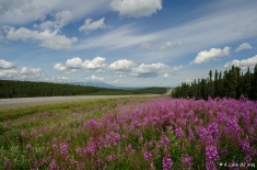 yukonnorthwestterritories-alifeofway-2