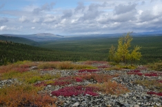 yukonnorthwestterritories-alifeofway-25
