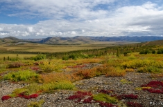 yukonnorthwestterritories-alifeofway-27