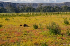 yukonnorthwestterritories-alifeofway-29
