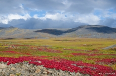 yukonnorthwestterritories-alifeofway-31