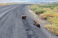 yukonnorthwestterritories-alifeofway-32