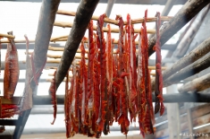 yukonnorthwestterritories-alifeofway-9